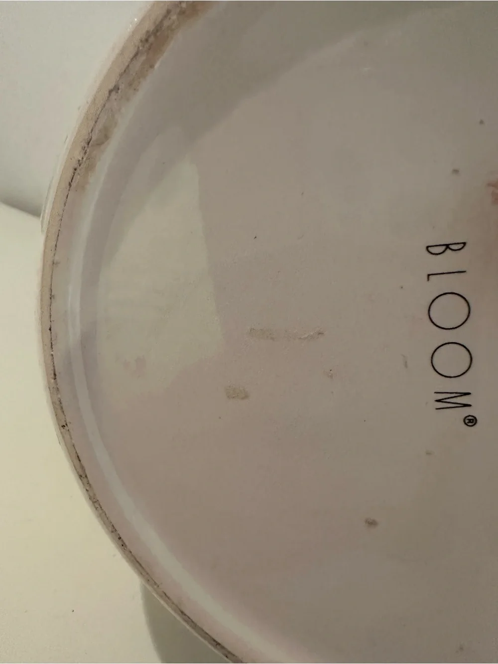 bloom smooth white